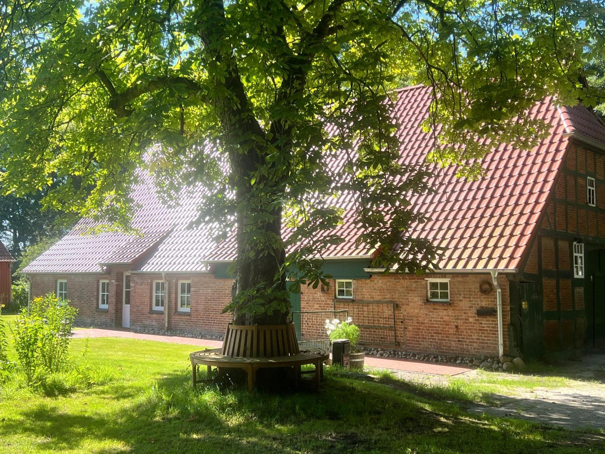 Ferienwohnung Mit Garten In Meyenburg - Keine Monteure Schwanewede Ngoại thất bức ảnh